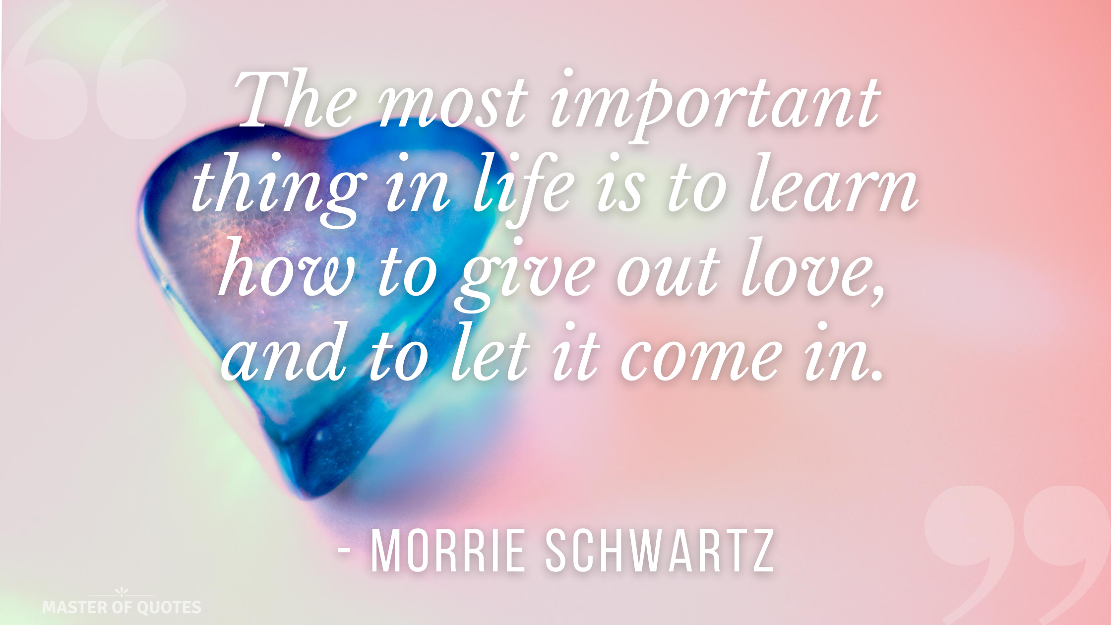 Morrie Schwartz Quote