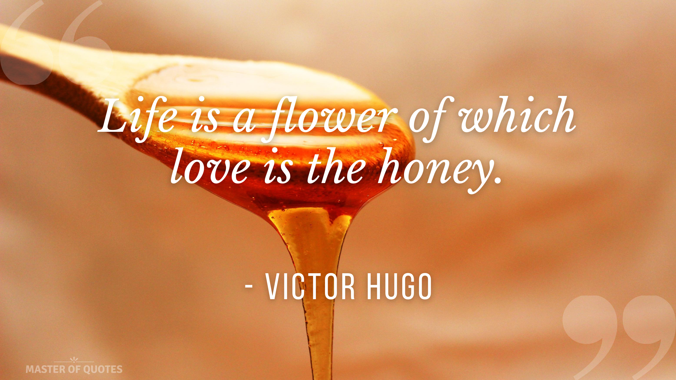 Victor Hugo Quote